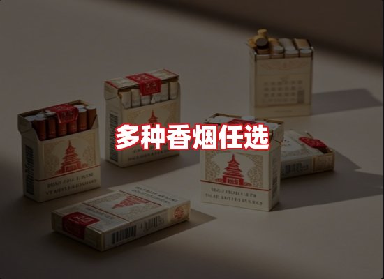 专业团队